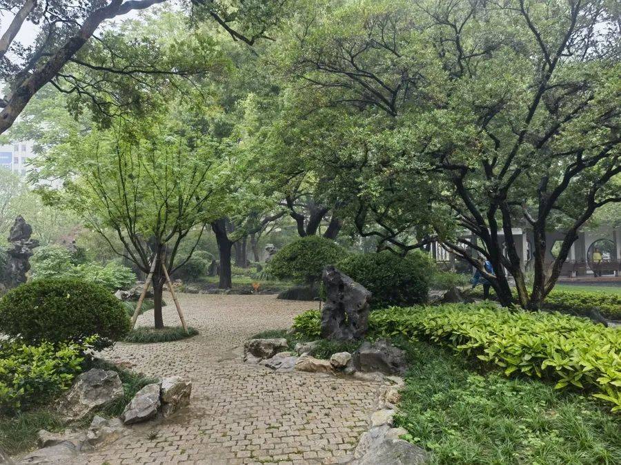 紧急提醒：瞬间爆发！上海市民崩溃：密密麻麻<strong></p>
<p>虚拟币版通</strong>，蠕蠕爬行...“梧桐区”已开始战斗，白蚁或提前分飞