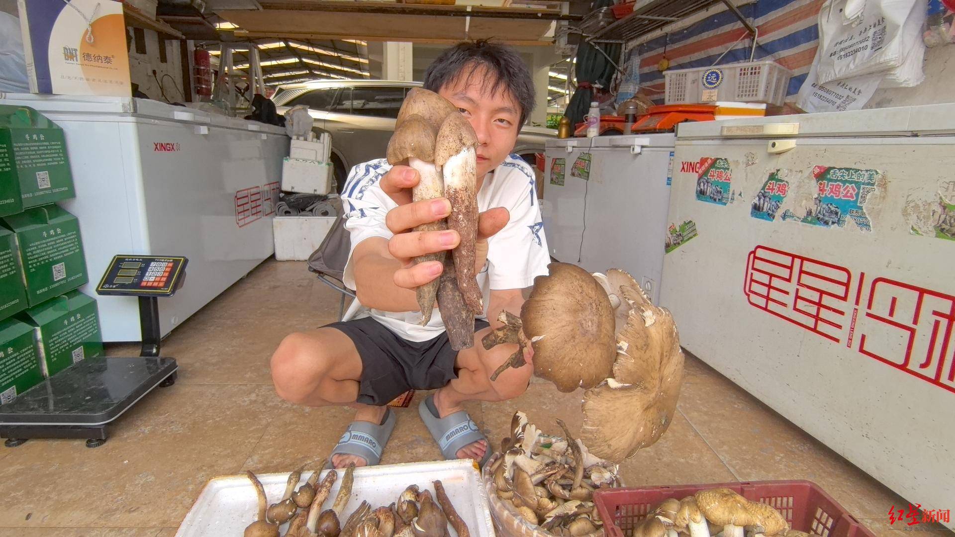 “天价”鸡枞调查：最贵卖到1800元/公斤！雨水少致产量低<strong></p>
<p>虚拟币账款</strong>，多地价高客少