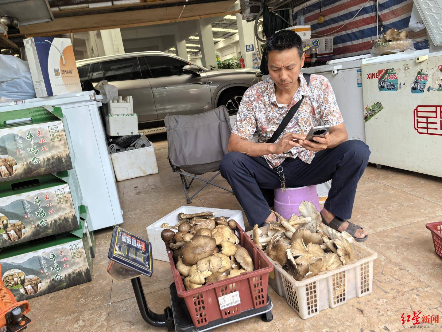 “天价”鸡枞调查：最贵卖到1800元/公斤！雨水少致产量低<strong></p>
<p>虚拟币账款</strong>，多地价高客少