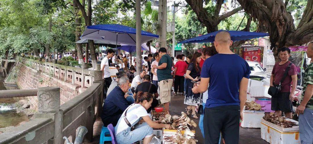 “天价”鸡枞调查：最贵卖到1800元/公斤！雨水少致产量低<strong></p>
<p>虚拟币账款</strong>，多地价高客少