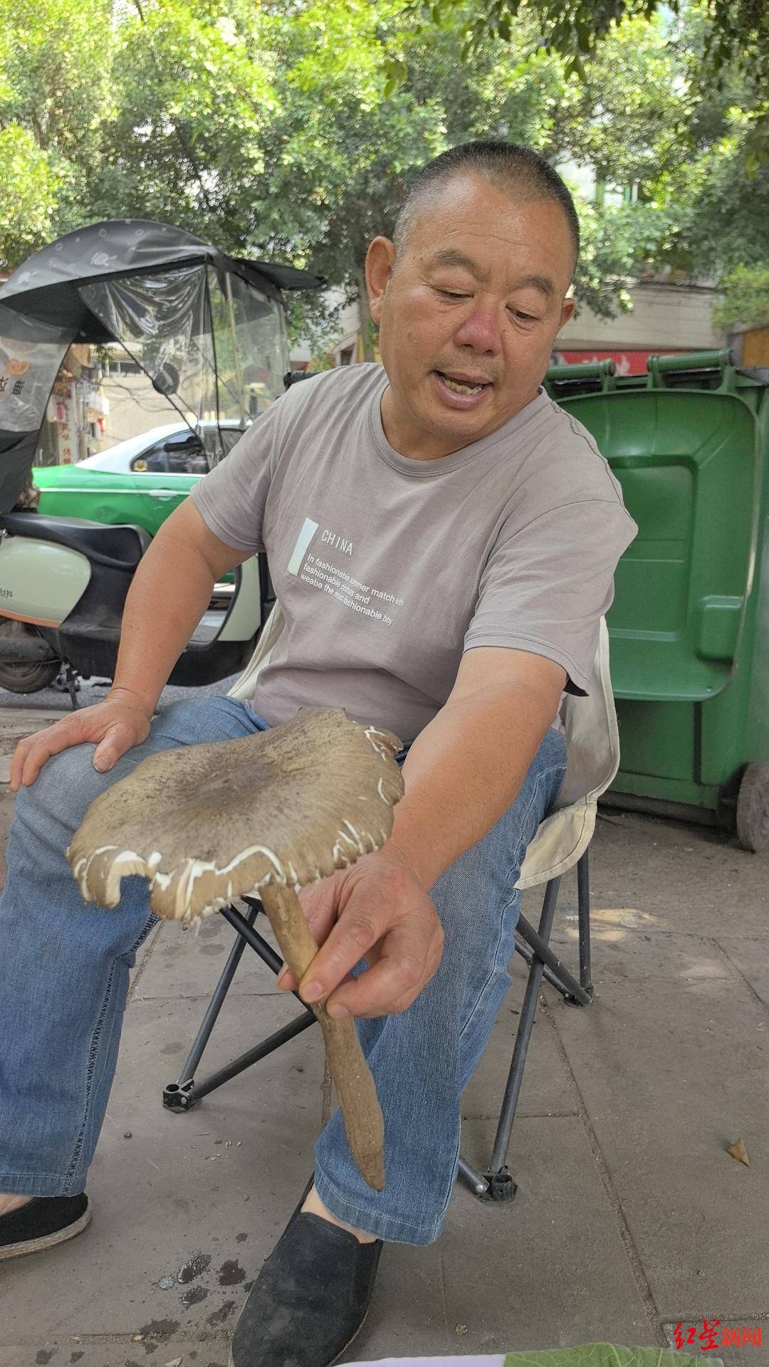 “天价”鸡枞调查：最贵卖到1800元/公斤！雨水少致产量低<strong></p>
<p>虚拟币账款</strong>，多地价高客少