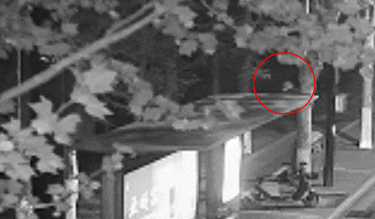 江苏一男子戴仿真“人皮”面具入室盗窃<strong></p>
<p>虚拟币账款</strong>,流窜多个小区作案,涉案金额达15万余元