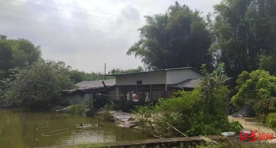 男子杀害母亲和女友后带嫂嫂潜逃32年落网<strong></p>
<p>虚拟币账款</strong>，两人育有一儿一女，侦破细节披露