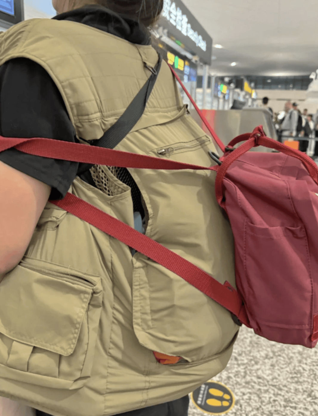 “坐飞机发现旁边放着冷链海鲜”<strong></p>
<p>虚拟币账款</strong>,航空公司兼职送货给出差人整破防了