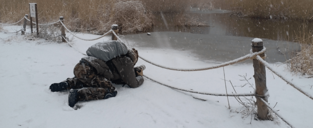 张瑜：我们所居住的北京<strong></p>
<p>拉升虚拟币</strong>，是亲近自然的最佳场所