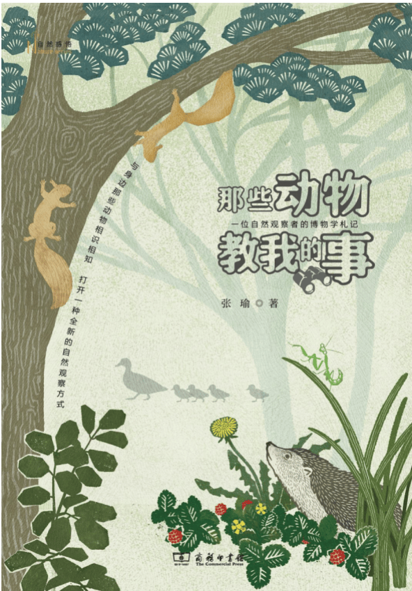 张瑜：我们所居住的北京<strong></p>
<p>拉升虚拟币</strong>，是亲近自然的最佳场所