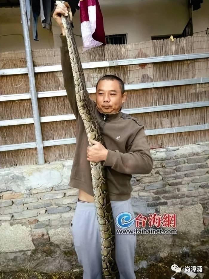 女游客疑被蛇咬伤身亡后<strong></p>
<p>虚拟币FN</strong>,博主“啊宝”讲毒蛇1天涨粉190万