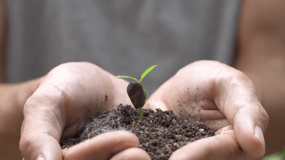 微视频｜共建清洁美丽世界