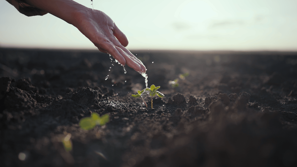 微视频｜共建清洁美丽世界
