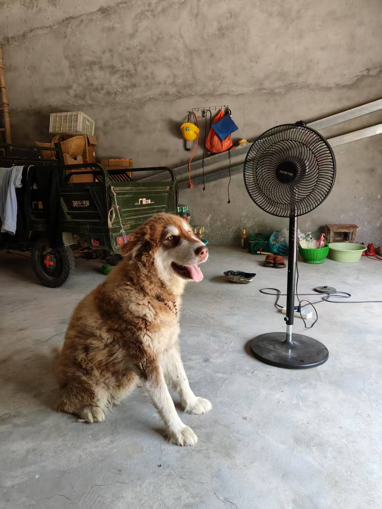 00后女孩醉驾时速174公里撞死3人<strong></p>
<p>虚拟榴莲币</strong>，逝者母亲：我每天都活在痛苦中