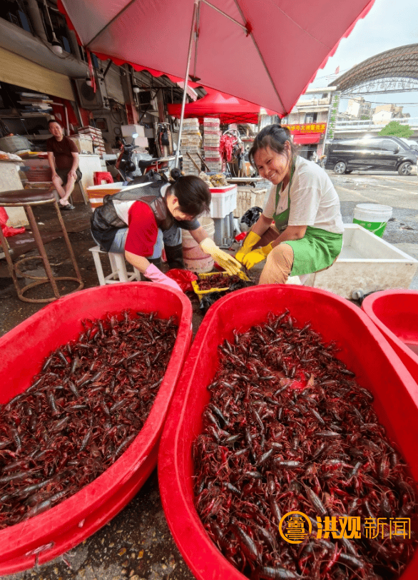 价格腰斩<strong></p>
<p>虚拟榴莲币</strong>!13元/斤!南昌正大量上市