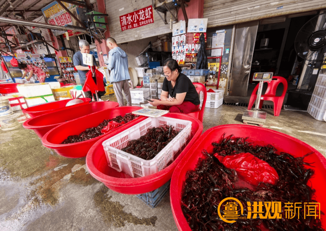 价格腰斩<strong></p>
<p>虚拟榴莲币</strong>!13元/斤!南昌正大量上市