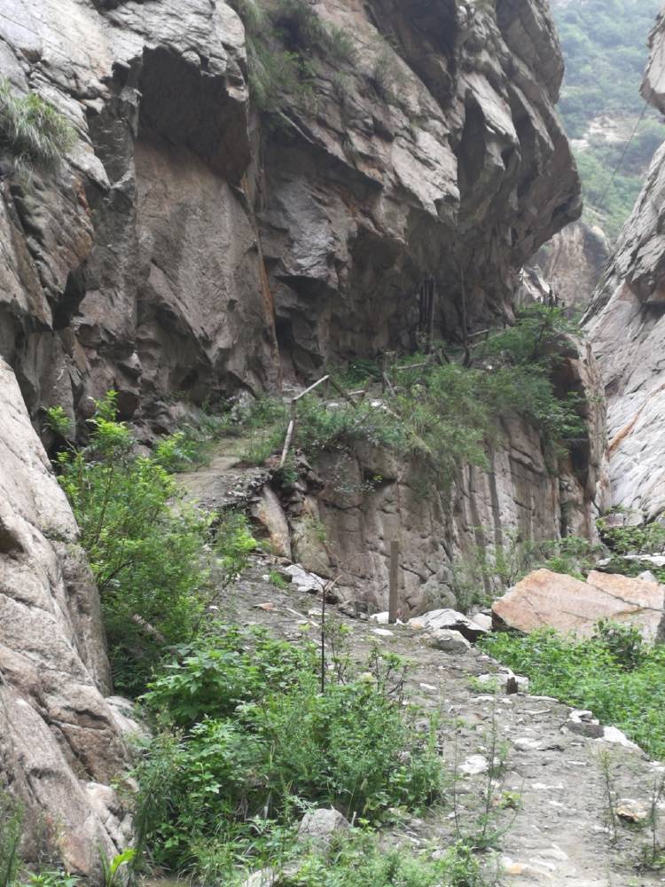 陕西一农民开山修路时售卖炸落的石头被判刑9个月<strong></p>
<p>虚拟榴莲币</strong>，获释后申请再审