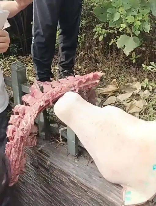 四川一小学食堂被举报使用劣质肉，市监局：已封存并抽样检测