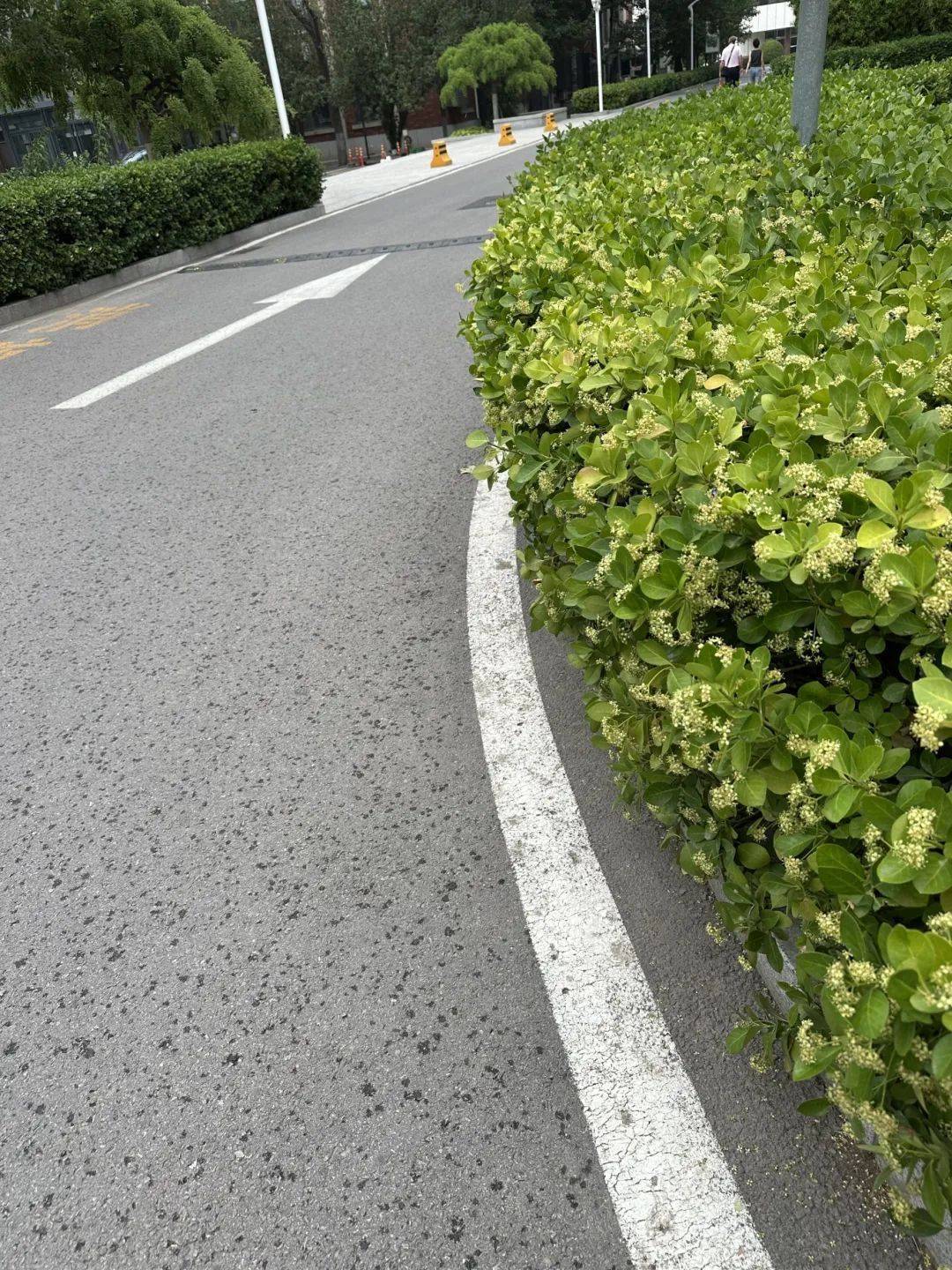 下雨了<strong></p>
<p>虚拟币存量</strong>！天津接下来十天都是……