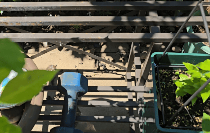 上海一小区居民苦恼新邻居:突然搬来让人提心吊胆<strong></p>
<p>虚拟gk币</strong>!不能抓不能打