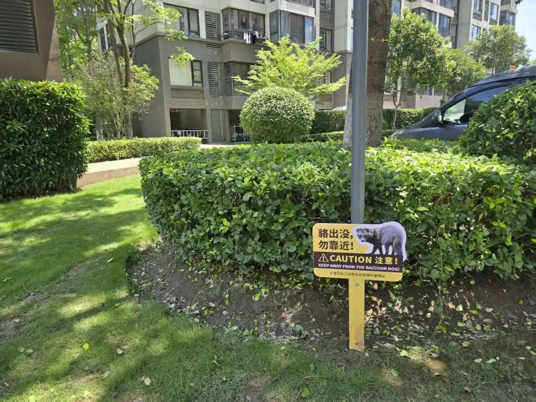 上海一小区居民苦恼新邻居:突然搬来让人提心吊胆<strong></p>
<p>虚拟gk币</strong>!不能抓不能打