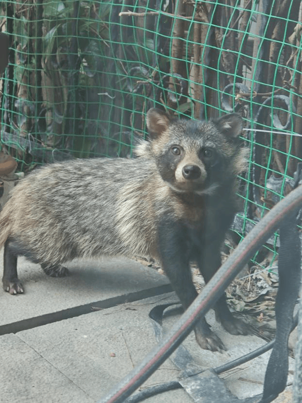 上海一小区居民苦恼新邻居:突然搬来让人提心吊胆<strong></p>
<p>虚拟gk币</strong>!不能抓不能打