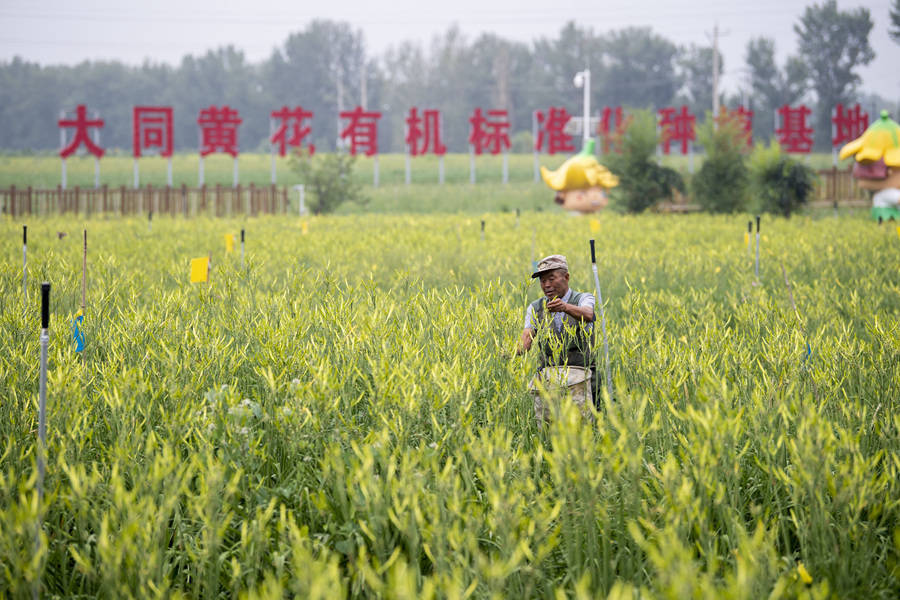 学习进行时|习近平总书记和山西的故事