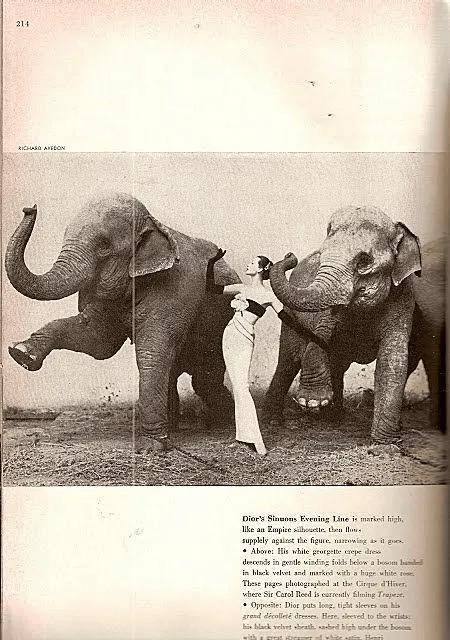 一个日本富二代<strong></p>
<p>nq虚拟币</strong>,花7000万买了个二手铂金包,内幕是……