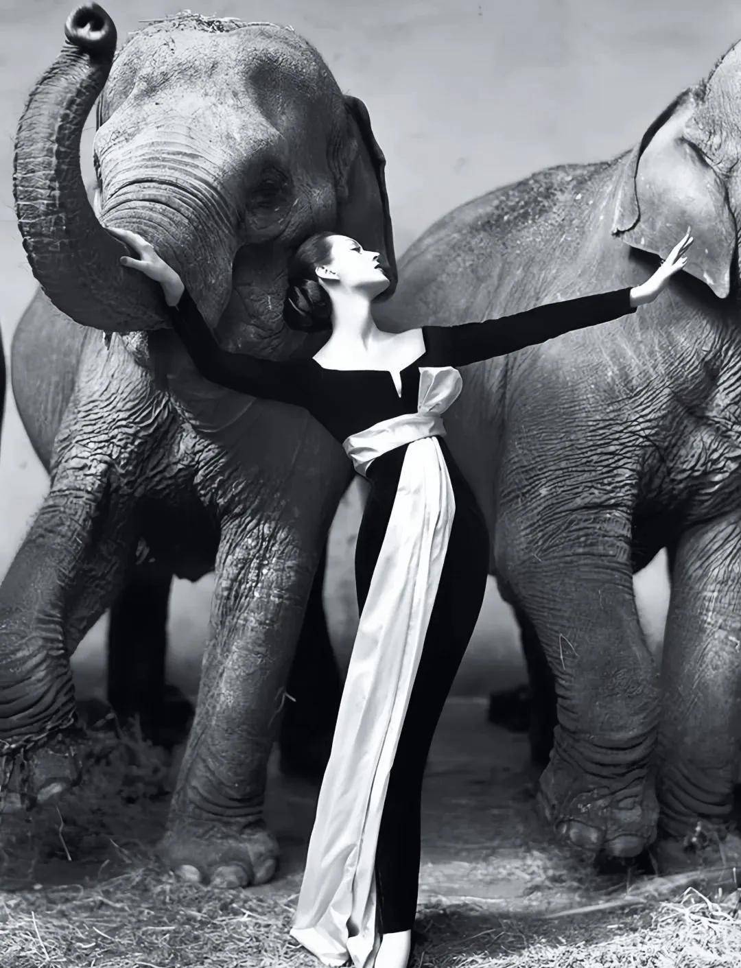 一个日本富二代<strong></p>
<p>nq虚拟币</strong>,花7000万买了个二手铂金包,内幕是……