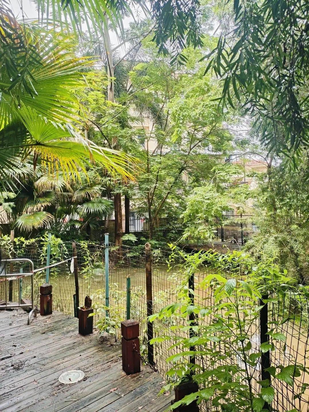 黄杨钿甜父母回应网络争议:“天价耳环”实际100多元<strong></p>
<p>跨国虚拟币</strong>,别墅不是自家的,只是路过拍照