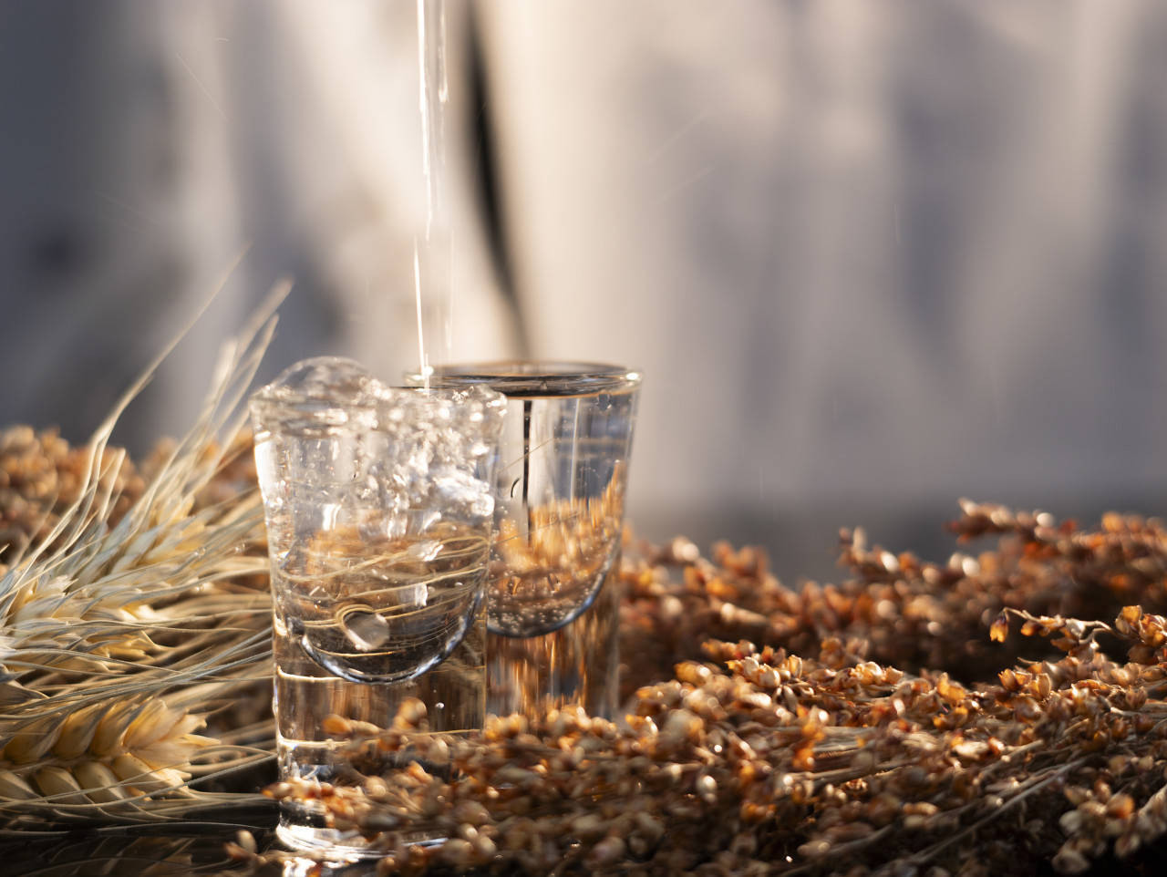 白酒巨头“扎堆”光瓶酒：59元洋河卖爆了，有烟酒店老板半个月补货四次