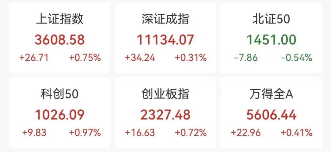 重回3600点！牛市“旗手”，涨停！