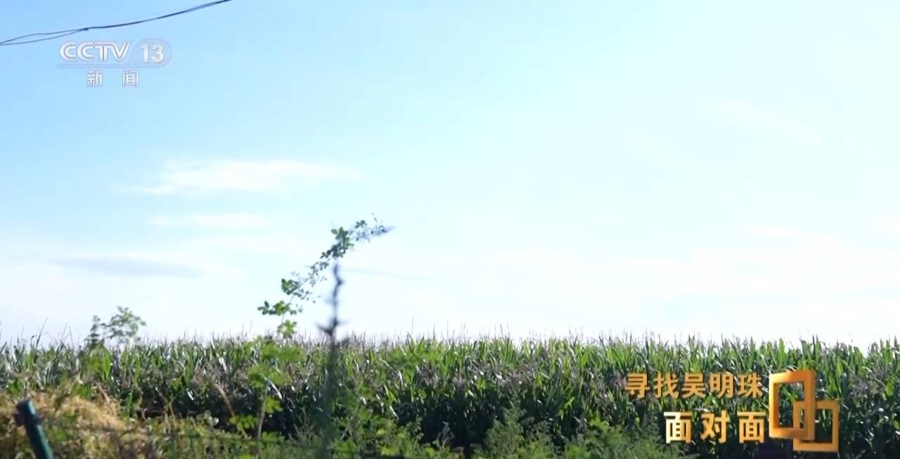 面对面丨中国人的吃瓜自由要感谢她<strong></p>
<p>盛大虚拟币</strong>！吴明珠说她的一生就是结几个好瓜献给人民