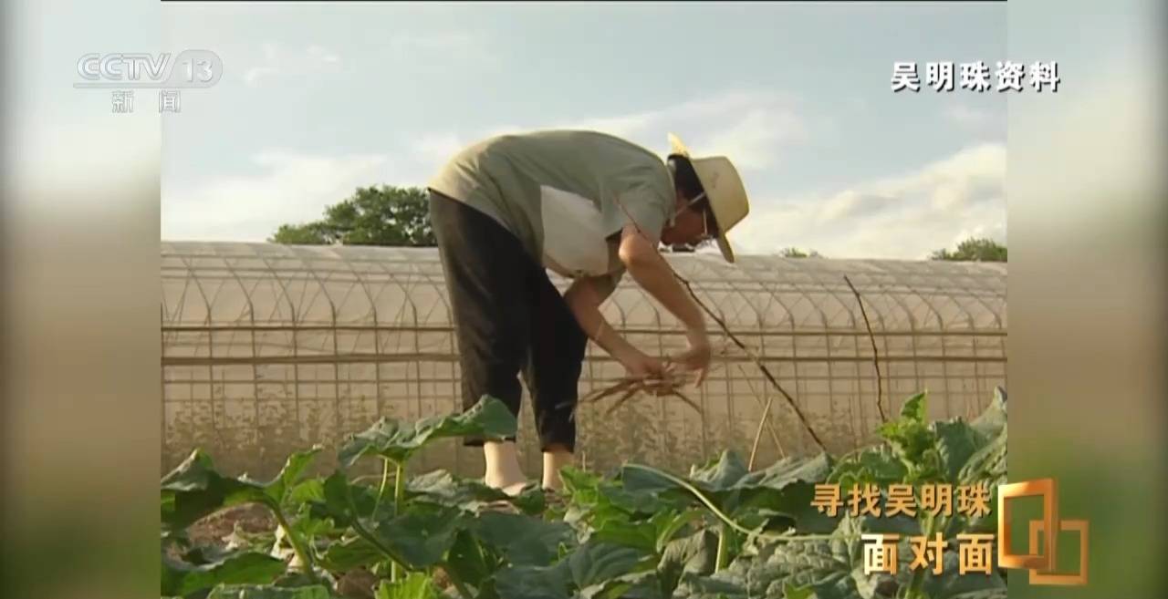 面对面丨中国人的吃瓜自由要感谢她<strong></p>
<p>盛大虚拟币</strong>！吴明珠说她的一生就是结几个好瓜献给人民