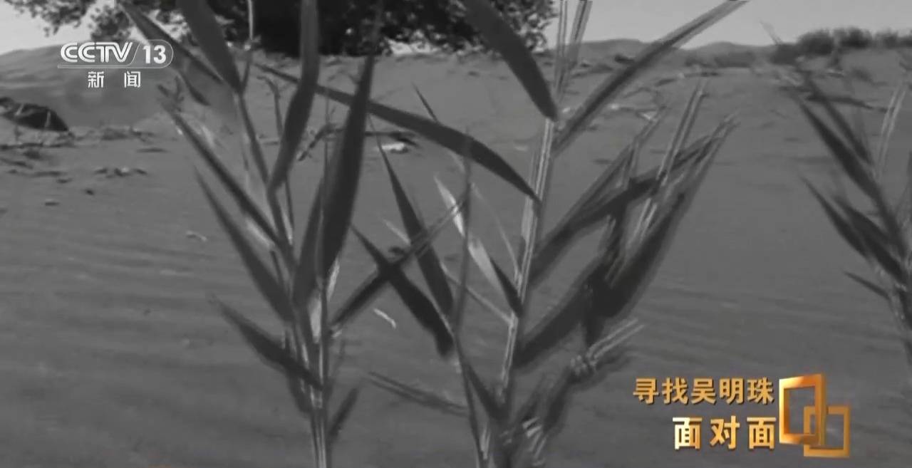 面对面丨中国人的吃瓜自由要感谢她<strong></p>
<p>盛大虚拟币</strong>！吴明珠说她的一生就是结几个好瓜献给人民