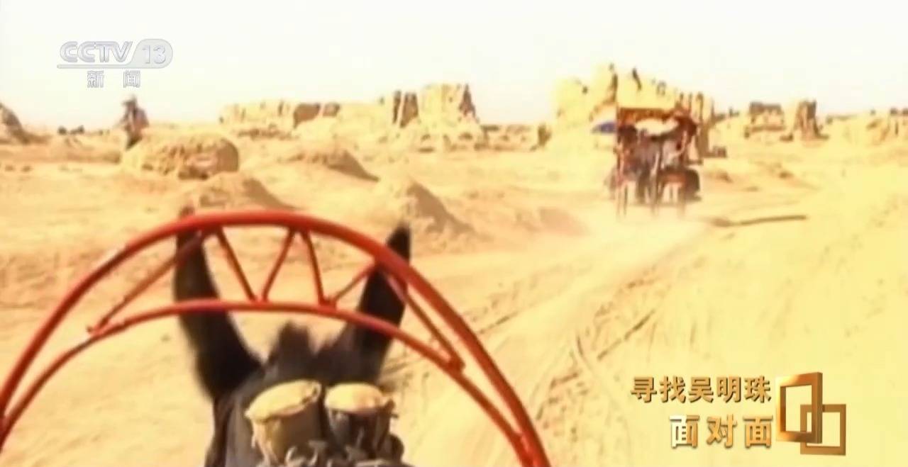 面对面丨中国人的吃瓜自由要感谢她<strong></p>
<p>盛大虚拟币</strong>！吴明珠说她的一生就是结几个好瓜献给人民