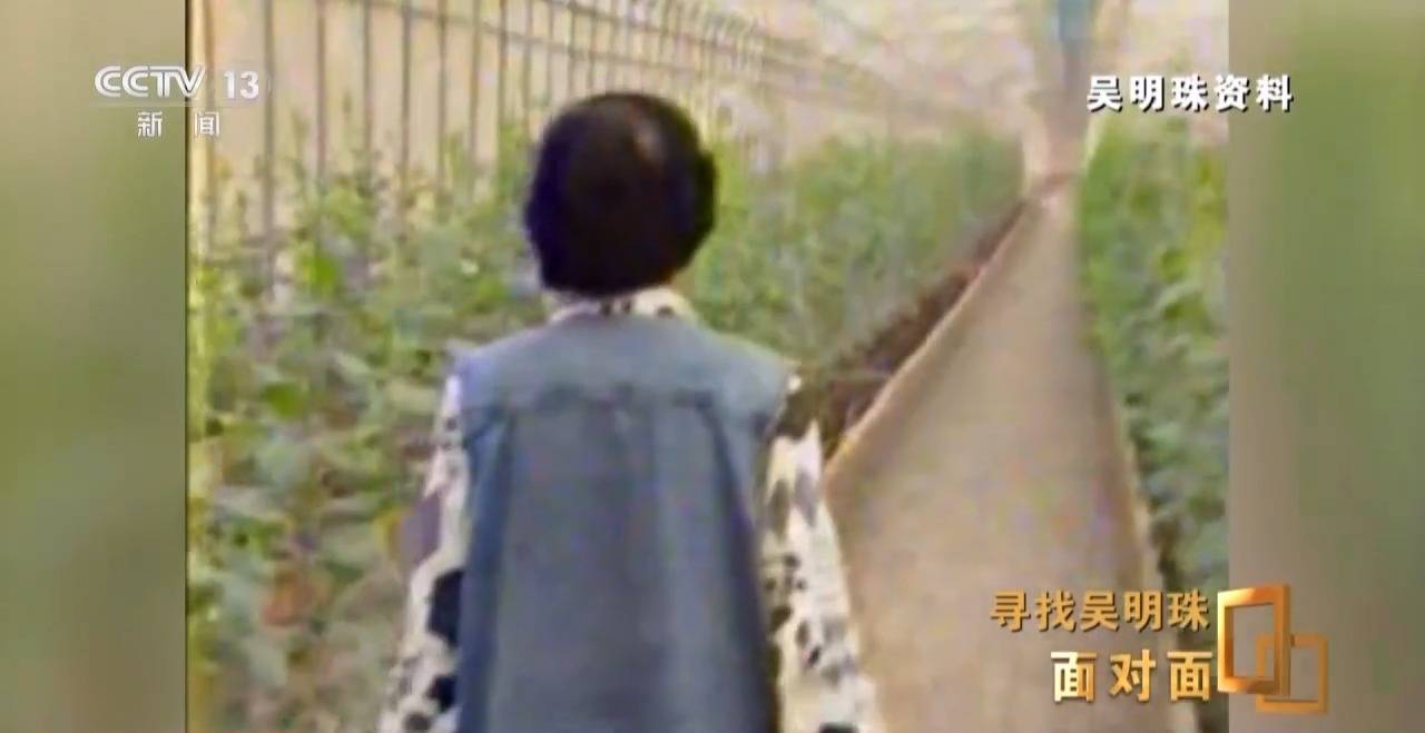 面对面丨中国人的吃瓜自由要感谢她<strong></p>
<p>盛大虚拟币</strong>！吴明珠说她的一生就是结几个好瓜献给人民