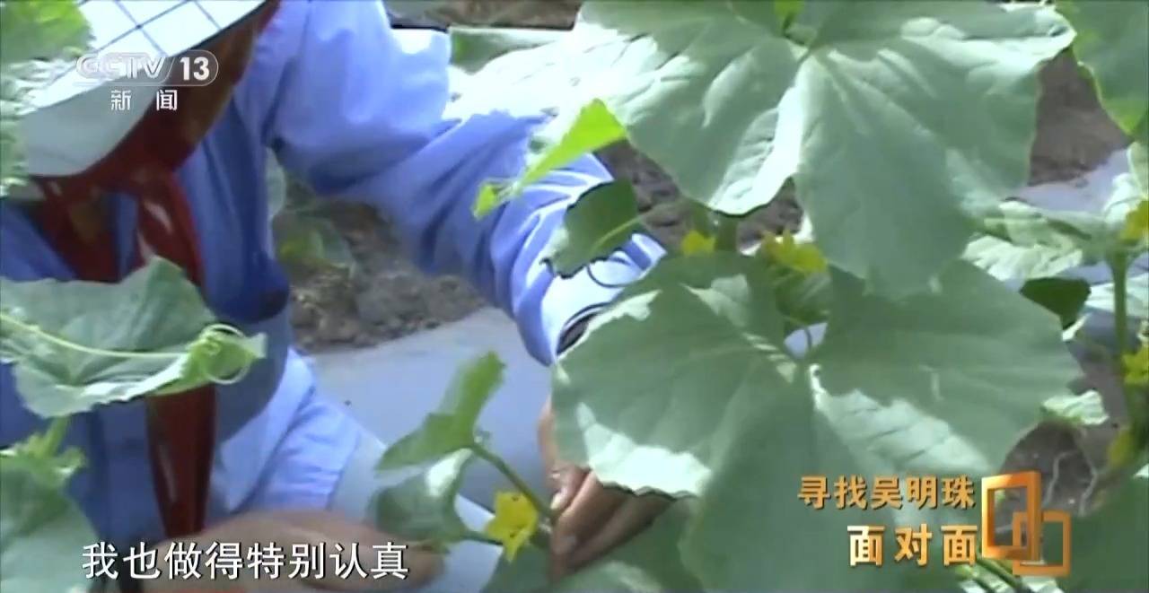 面对面丨中国人的吃瓜自由要感谢她<strong></p>
<p>盛大虚拟币</strong>！吴明珠说她的一生就是结几个好瓜献给人民