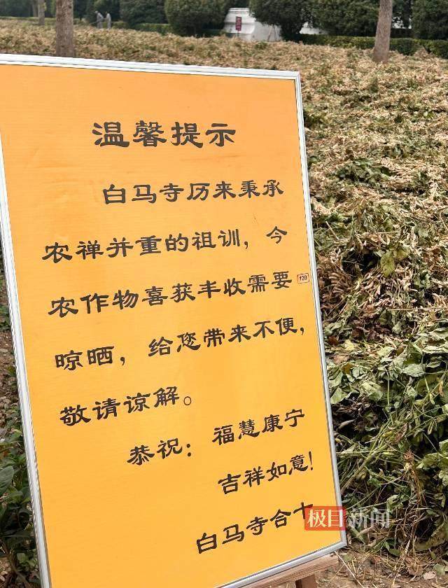 印乐方丈管理下的白马寺:僧人顶着高温种地<strong></p>
<p>盛大虚拟币</strong>,义工称寺里秉承农禅并重