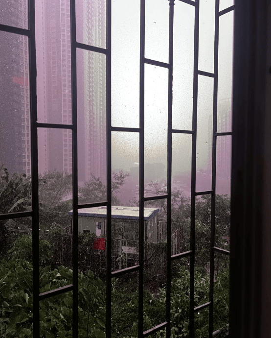 “山竹”后首个<strong></p>
<p>知音虚拟币</strong>!深圳全市暴雨红色预警生效!有人家里连续跳闸