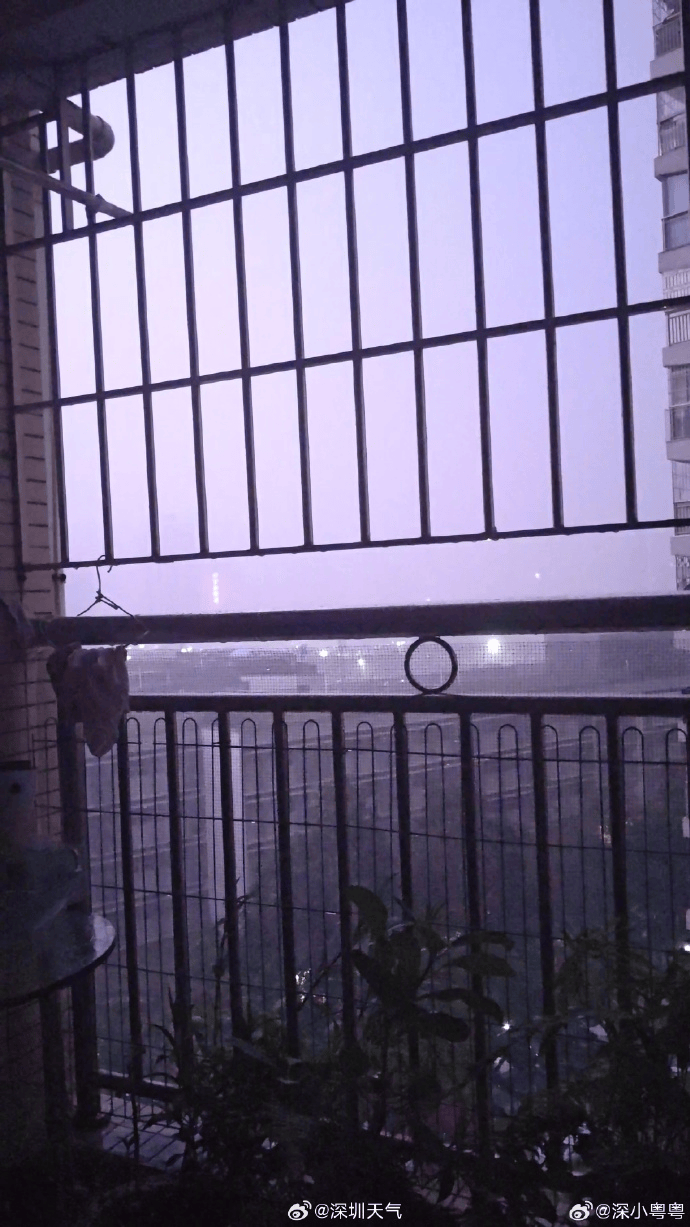 “山竹”后首个<strong></p>
<p>知音虚拟币</strong>!深圳全市暴雨红色预警生效!有人家里连续跳闸