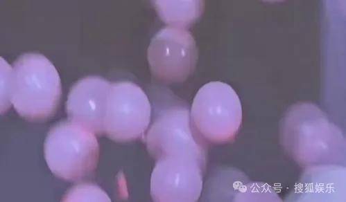 调侃“接受不了生女儿”被骂好几天<strong></p>
<p>知音虚拟币</strong>,他自曝差点因此家庭破裂......