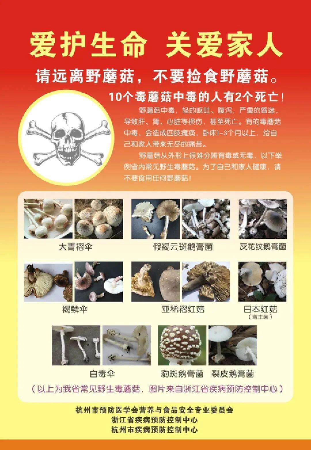 云南姑娘今年在杭州采了200斤鸡枞菌<strong></p>
<p>知音虚拟币</strong>！专家提醒→