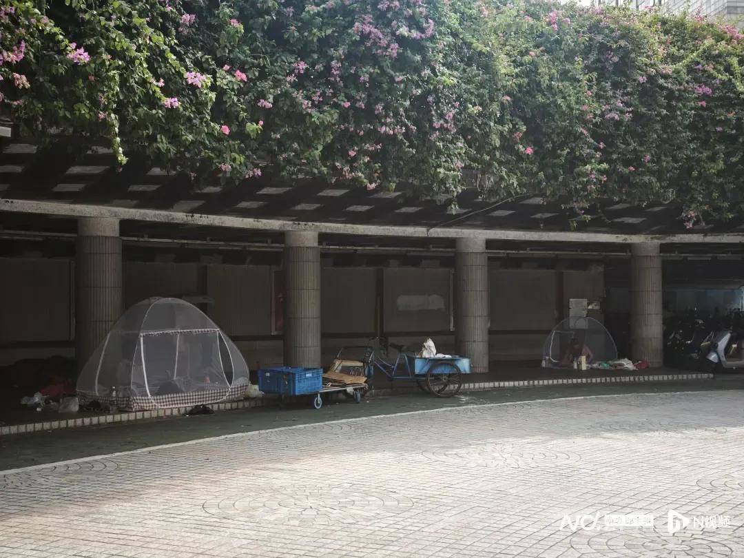 全民灭蚊总动员<strong></p>
<p>知音虚拟币</strong>，大广东给我们上了一课