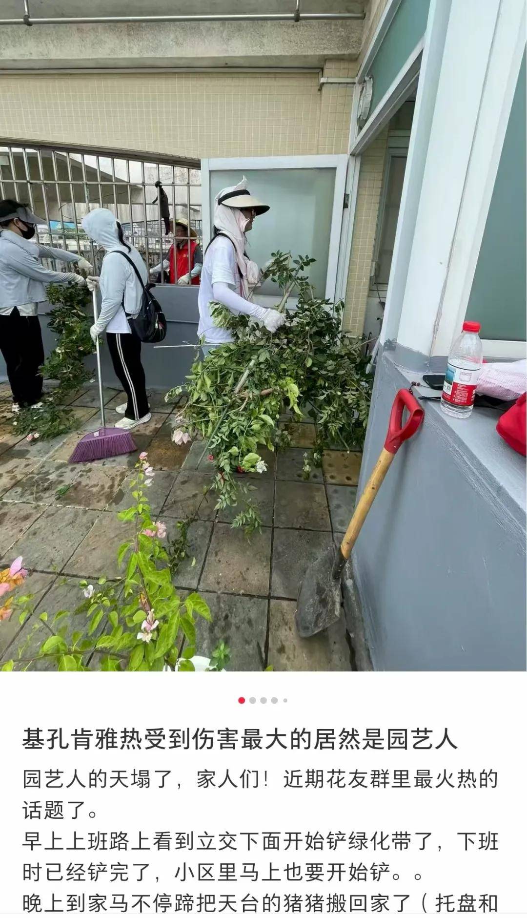 全民灭蚊总动员<strong></p>
<p>知音虚拟币</strong>，大广东给我们上了一课