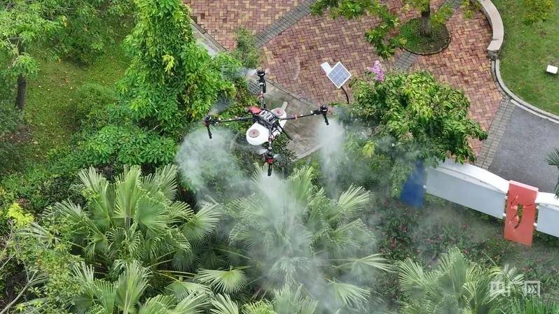 全民灭蚊总动员<strong></p>
<p>知音虚拟币</strong>，大广东给我们上了一课