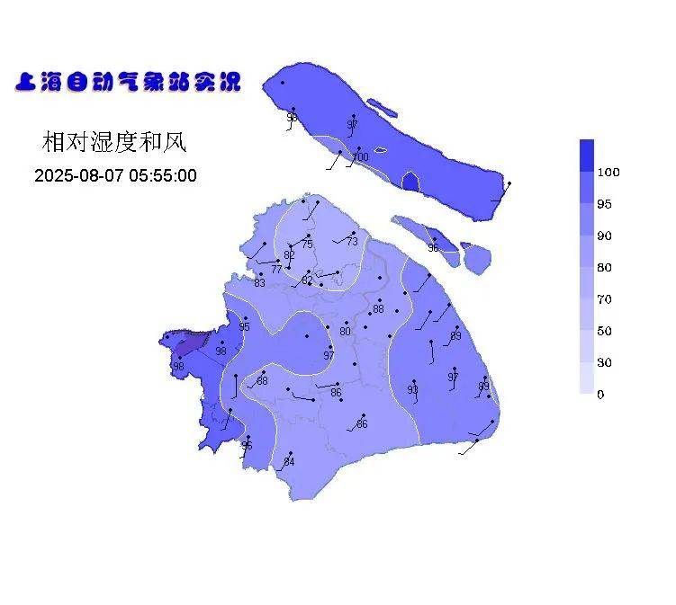 立秋到了<strong></p>
<p>ba虚拟币</strong>，但上海的高温加码