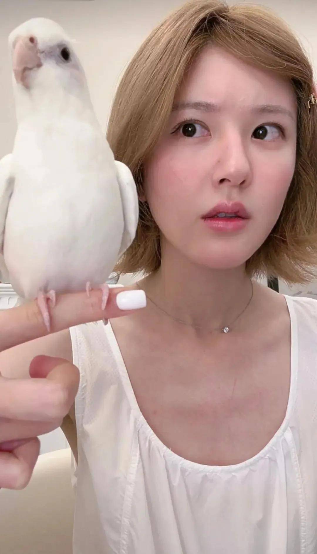 怒撕经纪公司后赵露思开启直播<strong></p>
<p>ba虚拟币</strong>，同款花卷、包包都卖爆