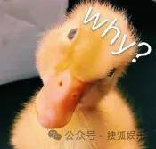 从爆红到突然消失好几年<strong></p>
<p>虚拟金刚币</strong>,再出现已经胖到大家不敢认了?