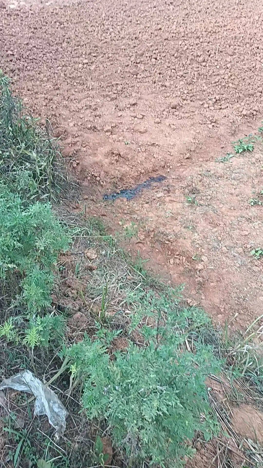 工人被误当猎物枪击身亡<strong></p>
<p>虚拟金刚币</strong>,警方通报:屈某某、罗某某被刑拘