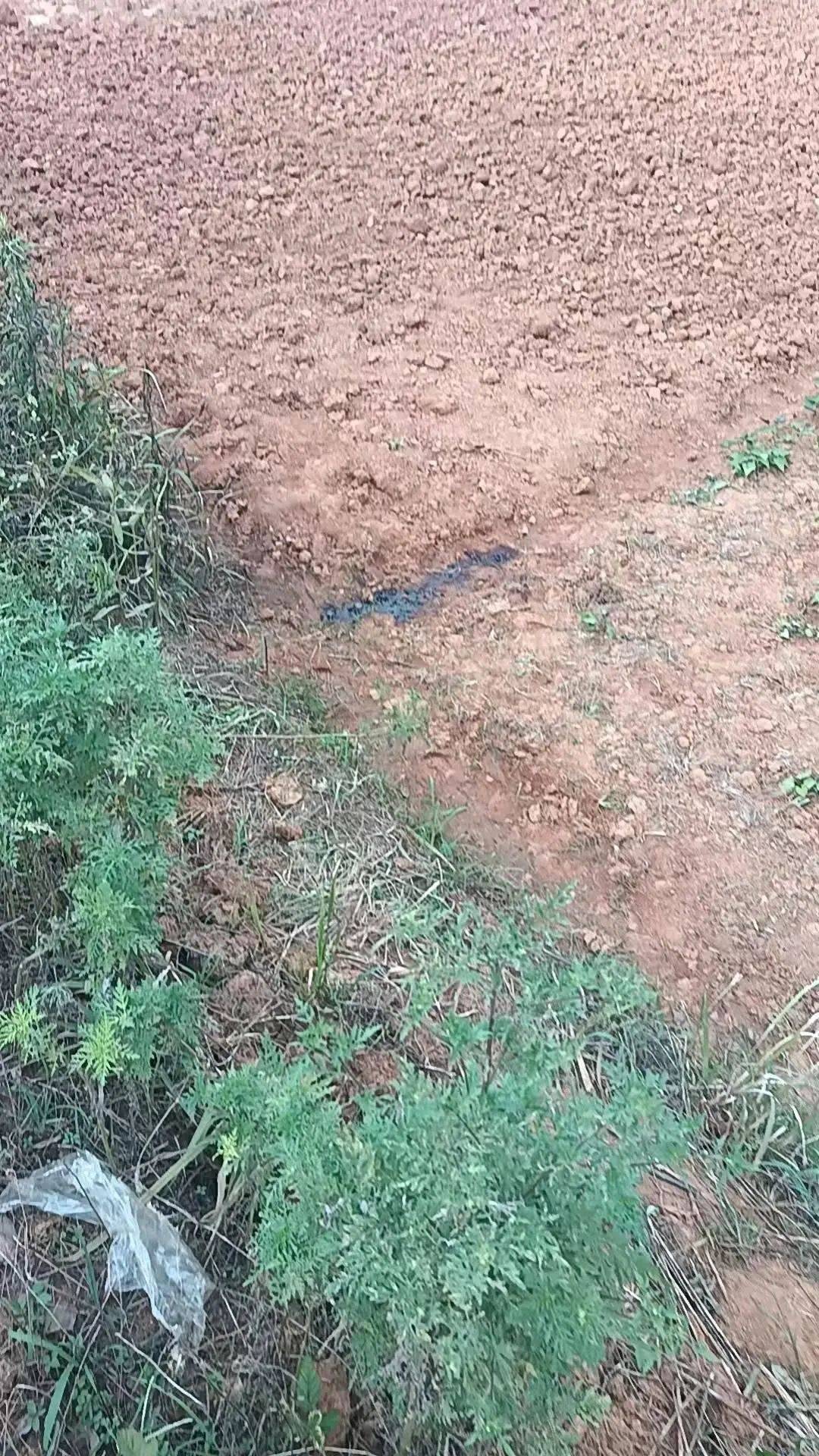 54岁农民工在工地附近如厕被气枪击杀<strong></p>
<p>虚拟金刚币</strong>，肇事者自首，用工单位愿补偿25万，家属发声