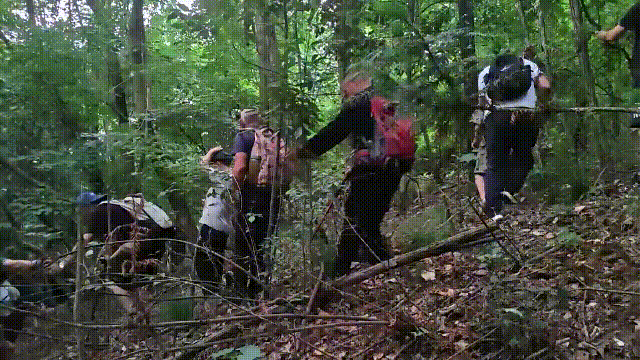 紧急寻人<strong></p>
<p>出借虚拟币</strong>!男童参加夏令营山上走失!最新进展→