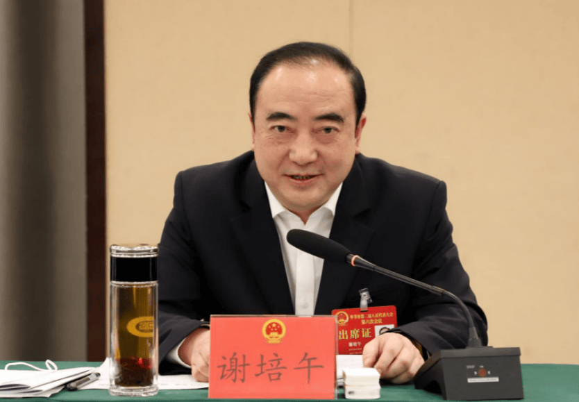 中央巡视期间，谢培午被查