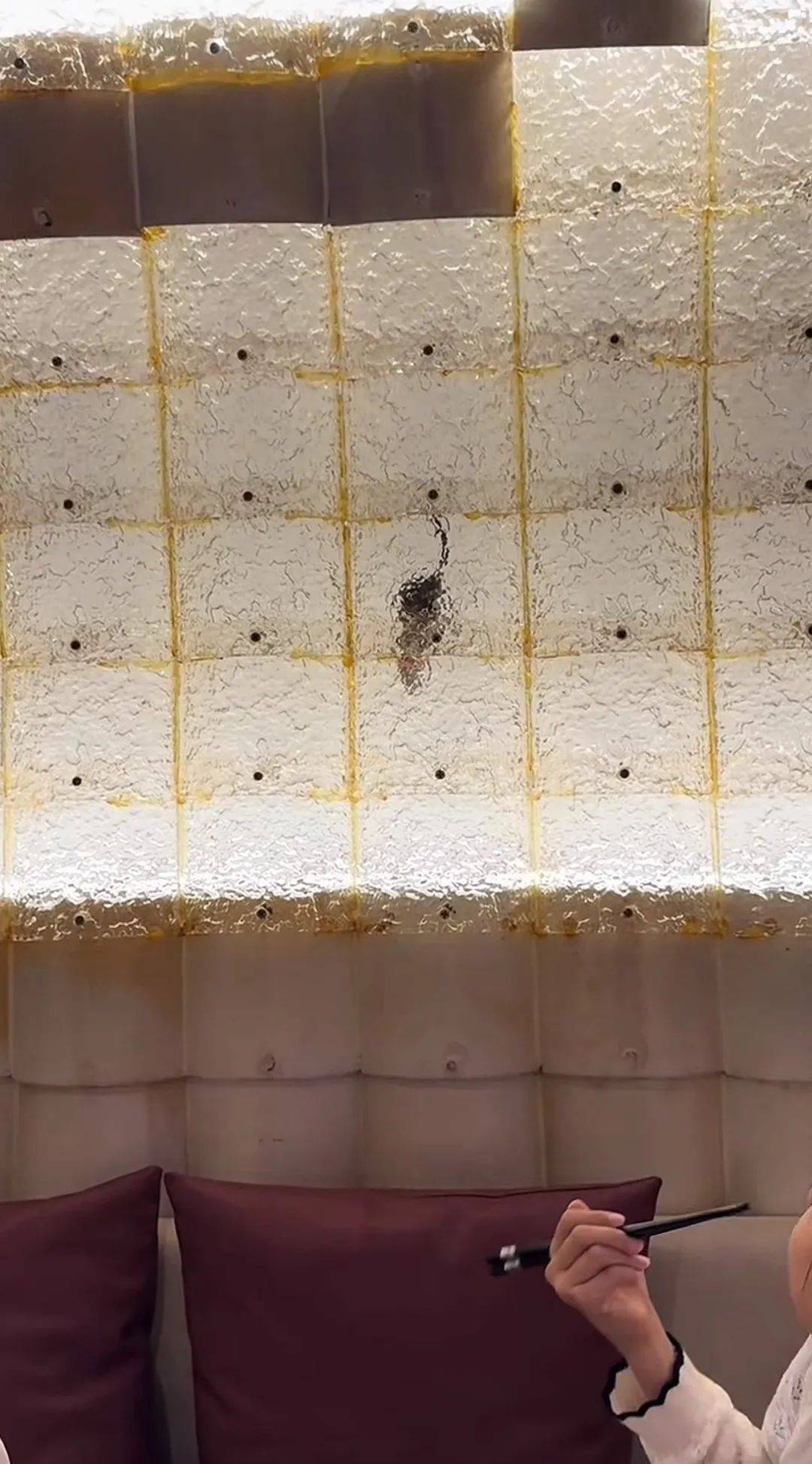 北京一烤鸭店内玻璃墙惊现老鼠，店家回应：不知道，不清楚